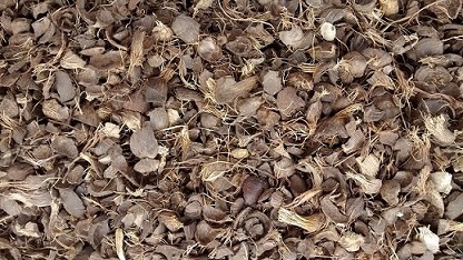 IMG_20150805_160117137